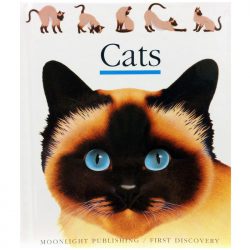 Children's cat themed book with 18 acetate pages to explore
