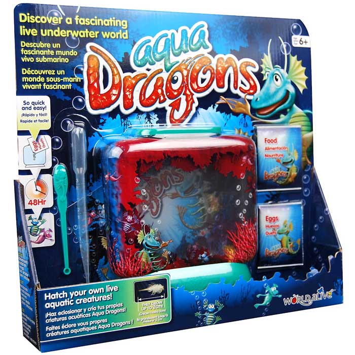 aqua dragons underwater world