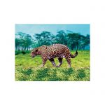 Slide showing a leopard in the jungle