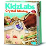 Dig out 9 shiny gemstones from the plaster block and display them in the case included