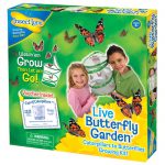 Hatch butterflies from caterpillars with this live butterfly garden set