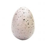 Speckled egg from the Keycraft Large Hatching Dinosaur Egg Toy