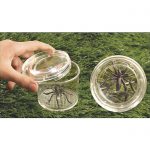 Spider inside a jar with magnifier