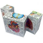 Partially unfolded ZooBooKoo Human Body Hinged Cube Book