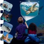 Sea Creatures Torch and Projector - Image 2