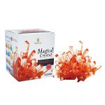 packaging and example crystal from Crystal Making Kit Red
