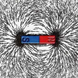 Magnetic fields arrange iron fillings