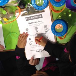 Child filling out survey about their experience with the talking microscope from Learning Resources