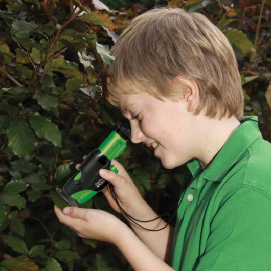 Child looking through adventure microscope