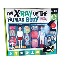 An X-Ray of the human body puzzle