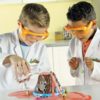 Beaker Creatures Experiment