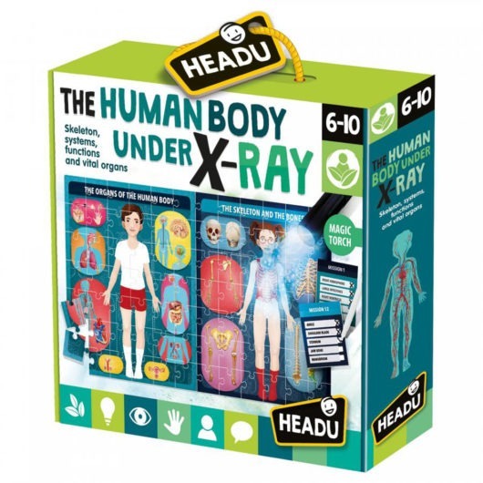 Headu Human Body X-Ray Front