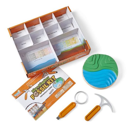 Dig & Display Fossil Kit Contents