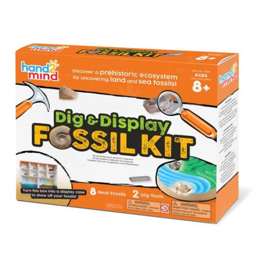 Dig & Display Fossil Kit Front