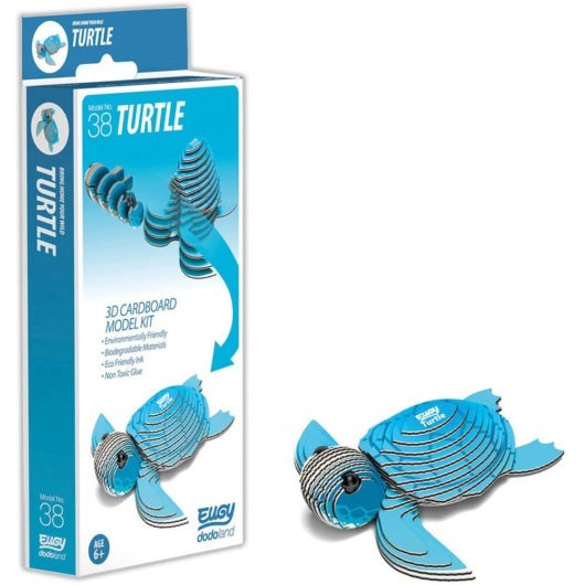 EUGY_Turtle_Front