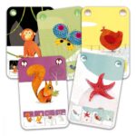 Djeco Mini Nature contents and cards