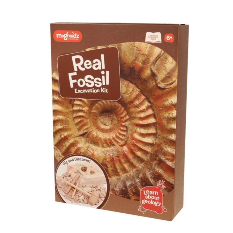 Magnoidz-Real-Fossil-Front