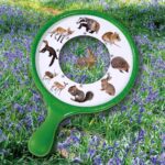 Outdoor Adventure Nature Explorer - Image 5