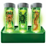 Kidzlabs Glow Critter Lab - Image 2